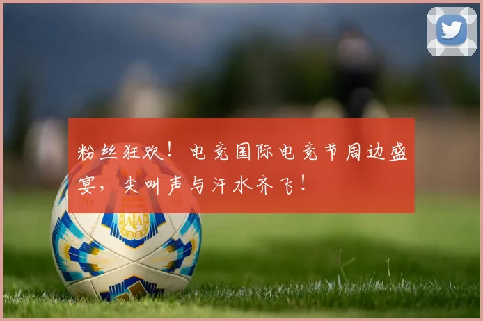 粉丝狂欢！电竞国际电竞节周边盛宴，尖叫声与汗水齐飞！
