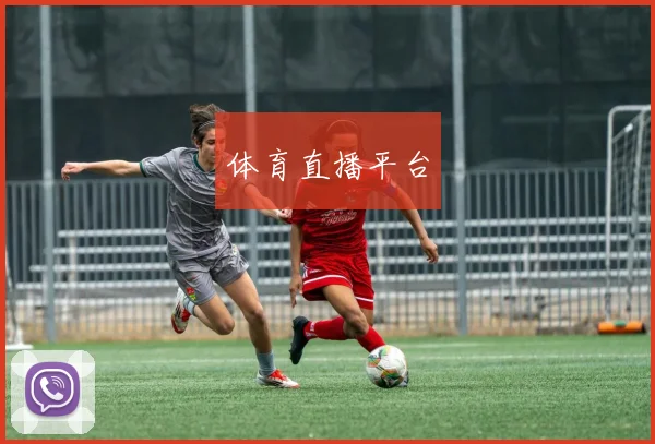 体育直播平台