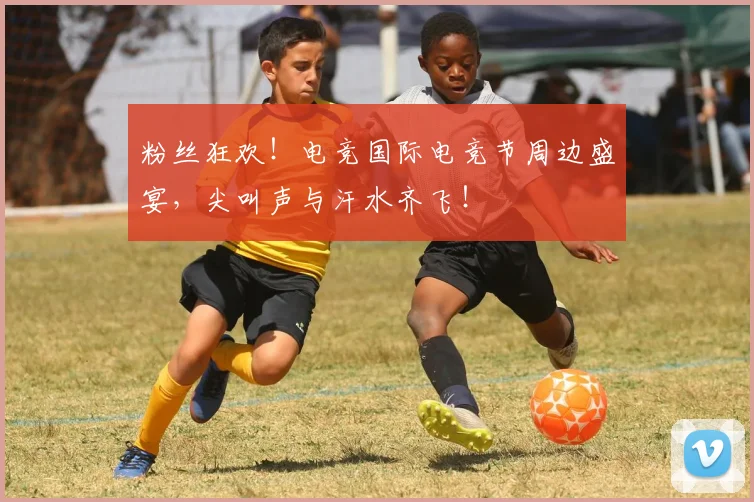 粉丝狂欢！电竞国际电竞节周边盛宴，尖叫声与汗水齐飞！