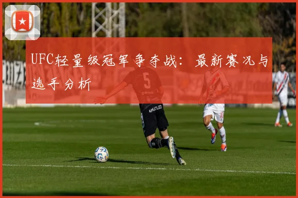 UFC轻量级冠军争夺战:最新赛况与选手分析