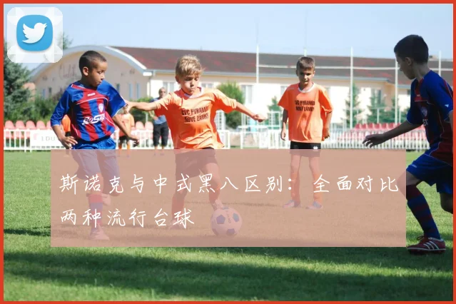斯诺克与中式黑八区别：全面对比两种流行台球